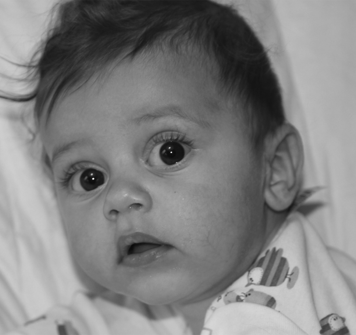 WhatsApp Image 2023-10-04 at 22.52.02